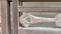 旧松阪家住宅の写真・動画_image_475547