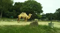 姫路セントラルパークの写真・動画_image_475674
