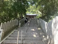 金剛頂寺の写真・動画_image_475878
