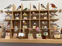 コサイン 青山の写真・動画_image_476065