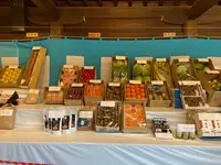 明治神宮の写真・動画_image_476120