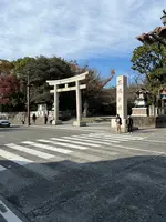 三嶋大社大鳥居の写真・動画_image_476201