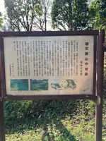 腰巻地区箱根旧街道遺跡の石畳の写真・動画_image_476206