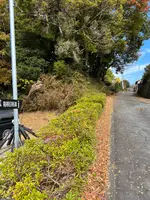 腰巻地区箱根旧街道遺跡の石畳の写真・動画_image_476208