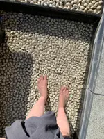 道後舘の写真・動画_image_476245