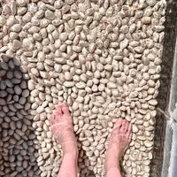 道後舘の写真・動画_image_476251