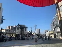 放生園の写真・動画_image_476254