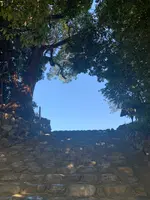 湯神社（四社明神）の写真・動画_image_476285