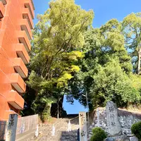 湯神社（四社明神）の写真・動画_image_476291