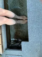 道後温泉 空の散歩道の写真・動画_image_476302