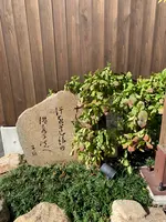 道後温泉 空の散歩道の写真・動画_image_476305