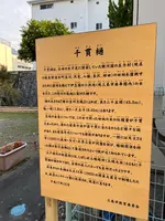 千貫樋の写真・動画_image_476459