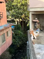 千貫樋の写真・動画_image_476461