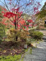 こころをなでる静寂 みやこの写真・動画_image_476488