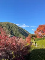 下呂温泉合掌村の写真・動画_image_476490
