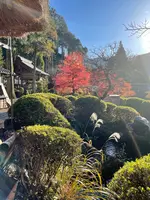 下呂温泉合掌村の写真・動画_image_476494