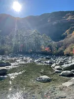 いわなの里峡の写真・動画_image_476496