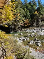 いわなの里峡の写真・動画_image_476499