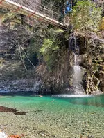 いわなの里峡の写真・動画_image_476500