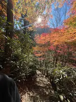 付知峡の写真・動画_image_476503