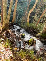 付知峡の写真・動画_image_476505