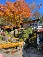 付知峡の写真・動画_image_476507