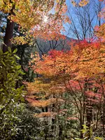 付知峡の写真・動画_image_476509