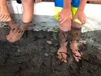 大江戸温泉物語 浦安万華郷の写真・動画_image_477062