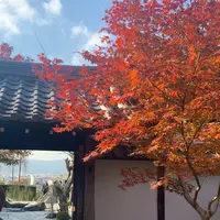 圓光寺の写真・動画_image_477069