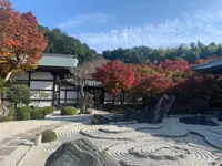 圓光寺の写真・動画_image_477070
