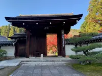 西芳寺の写真・動画_image_477085