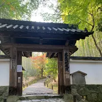 地蔵院（竹の寺）の写真・動画_image_477087