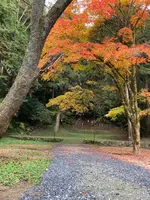 サムハラ神社 奥の院の写真・動画_image_477183