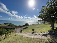 知念岬公園の写真・動画_image_477211