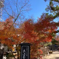 こばやし 本店の写真・動画_image_477269