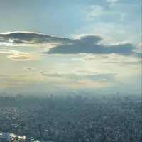 東京スカイツリーの写真・動画_image_477289