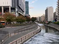 スカイツリーカフェ フロア340の写真・動画_image_477295