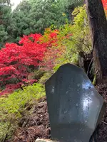 阿夫利神社 下社の写真・動画_image_477309