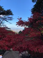 大山寺の写真・動画_image_477327