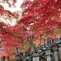 大山寺の写真・動画_image_477335