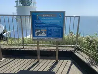 室戸岬灯台の写真・動画_image_477545