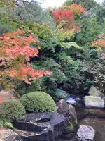 足立美術館の写真・動画_image_477636