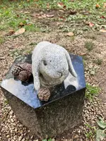 出雲大社の写真・動画_image_477674