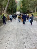 出雲大社の写真・動画_image_477676