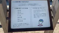 うさぎ耳集音器の写真・動画_image_477768