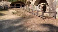 北部砲台観測所跡の写真・動画_image_477771