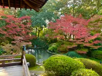 隨心院の写真・動画_image_477807