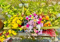 二尊院の写真・動画_image_477811