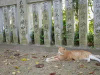 豊玉姫神社の写真・動画_image_477813