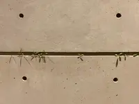 ベネッセハウス ミュージアムの写真・動画_image_477832